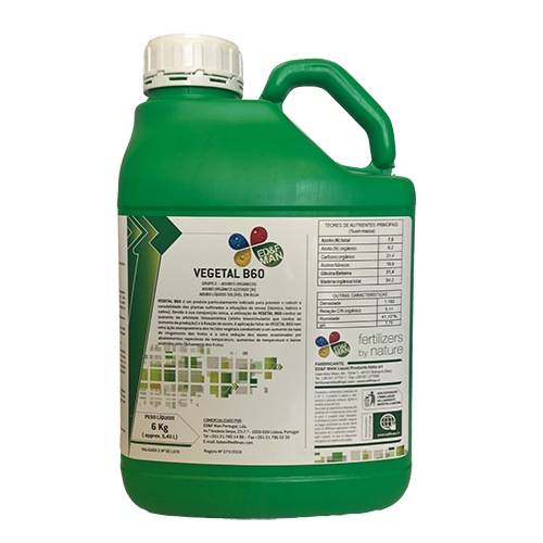 Embalagem Vegetal B60
