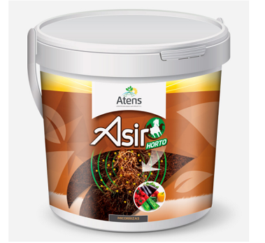 Embalagem ASIR HORTO